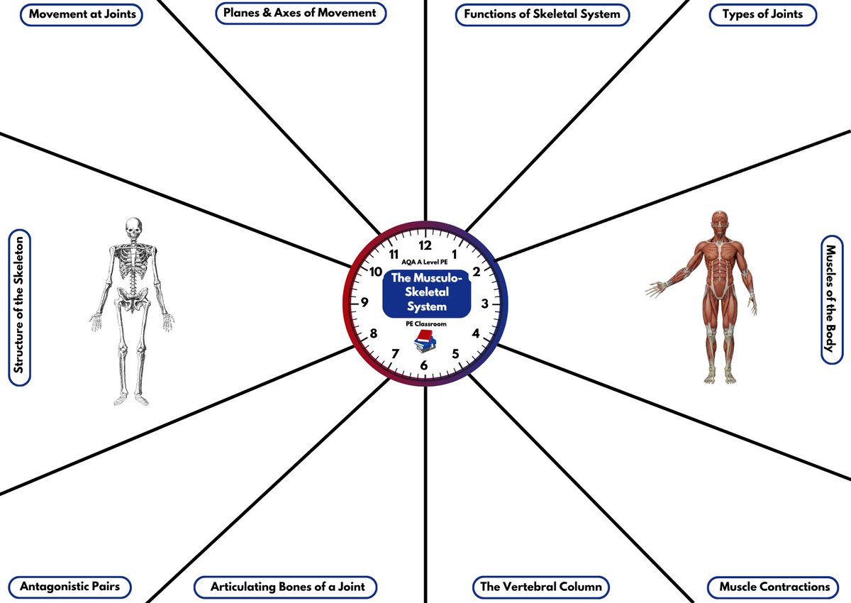 PE Classroom tweet media