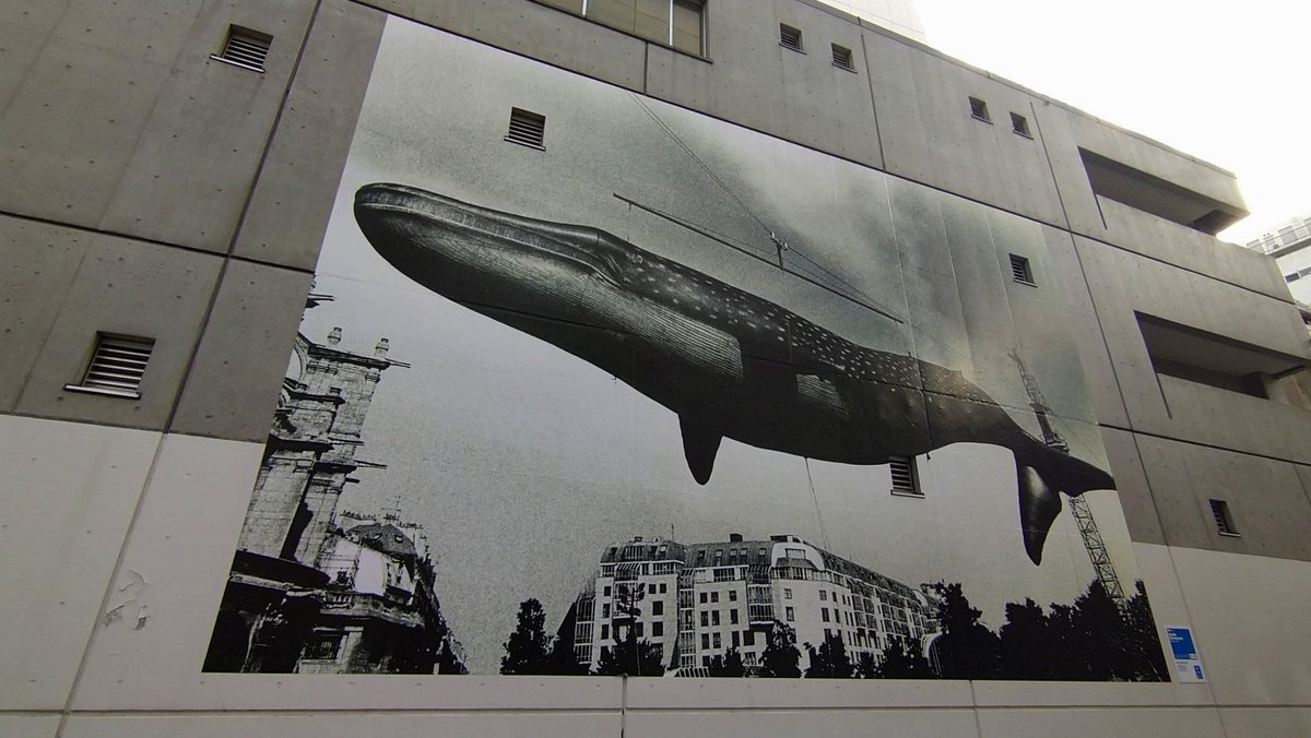 tansiolemon's tweet image. 