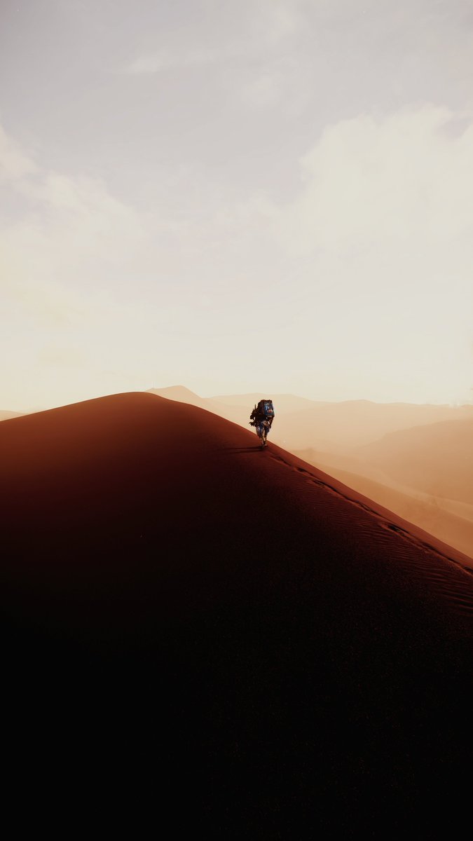 Ari 📷 tweet media