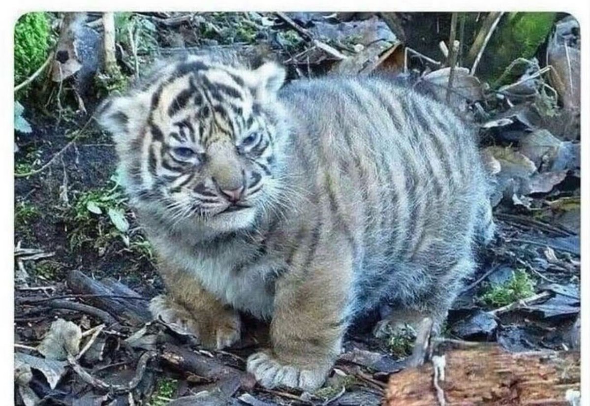 mattwriteguy's tweet image. GM.