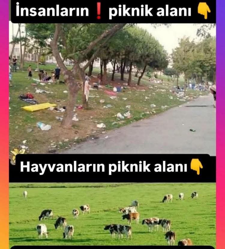 ❗ Neymiş efendim, keçiler ormanı bitiriyormuşşş.
❓Siz hiç orman yakan keçi gördünüz mü?
Ya da…
 • Etrafa çöp atan öküz 🐂
 • Yere tüküren köpek 🐕
 • Umumi tuvaletin duvarına, çeşmesine pisleyen kedi 🐈
 • Arabasıyla gezerken son ses müzik açıp etrafı rahatsız eden eşek