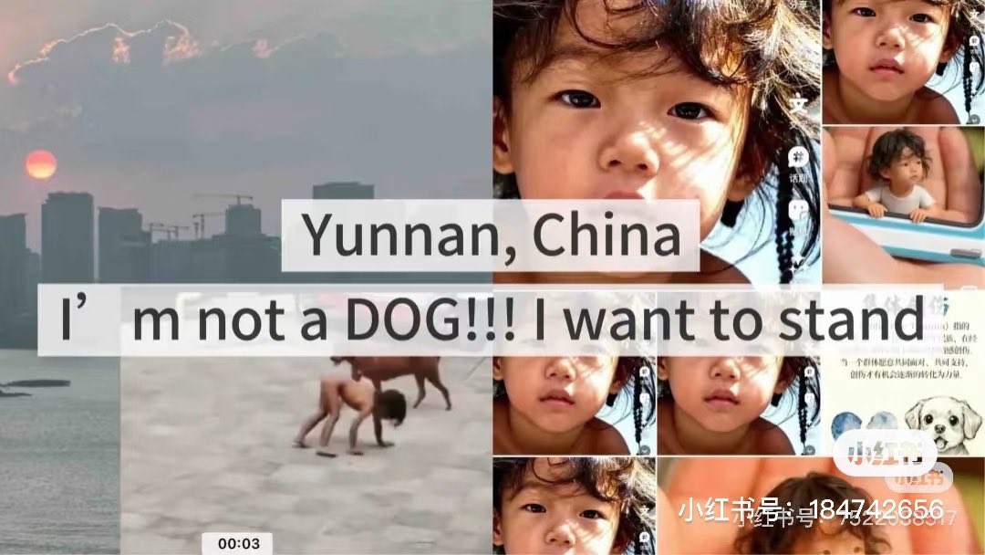 Zoe1993533's tweet photo. @BBCWorld Please pay attention to the profit-making incident of Chinese children being domesticated into dogs, and save the children. https://t.co/NPQ0h5ThZZ