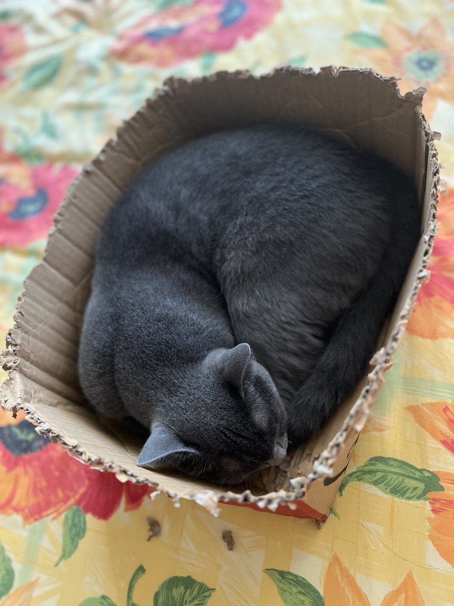 Sorgulamayı bıraktım o kutusunda mutlu