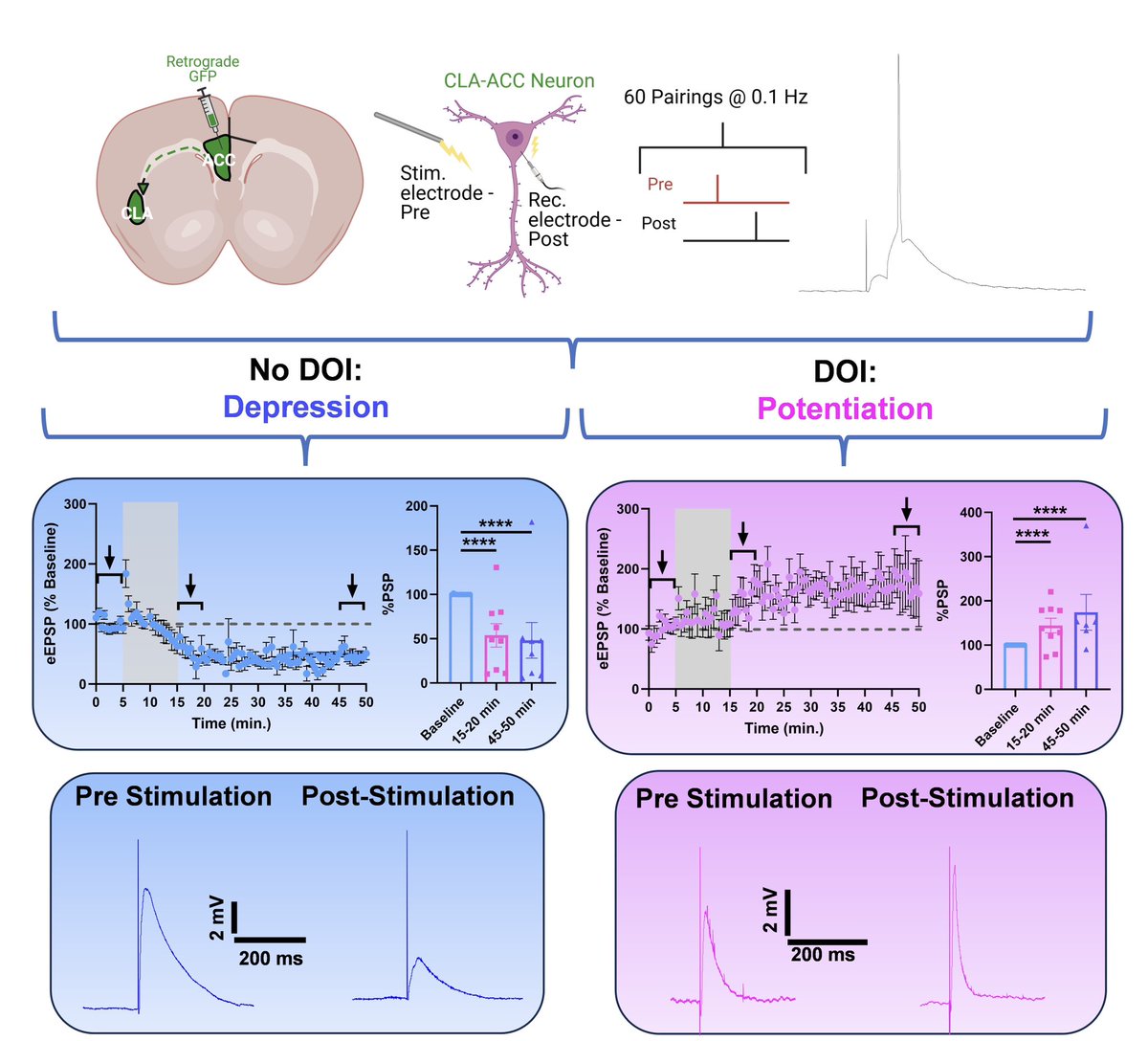 Tanner Anderson, PhD tweet media