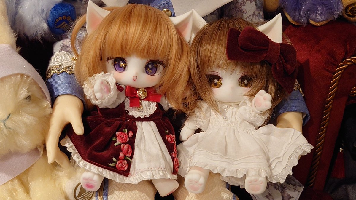 【ぬいぐるみオーダー】くらげ様 くらげうみ。🪼🌊駒海神事店 (@kurageumi44) / Posts / X