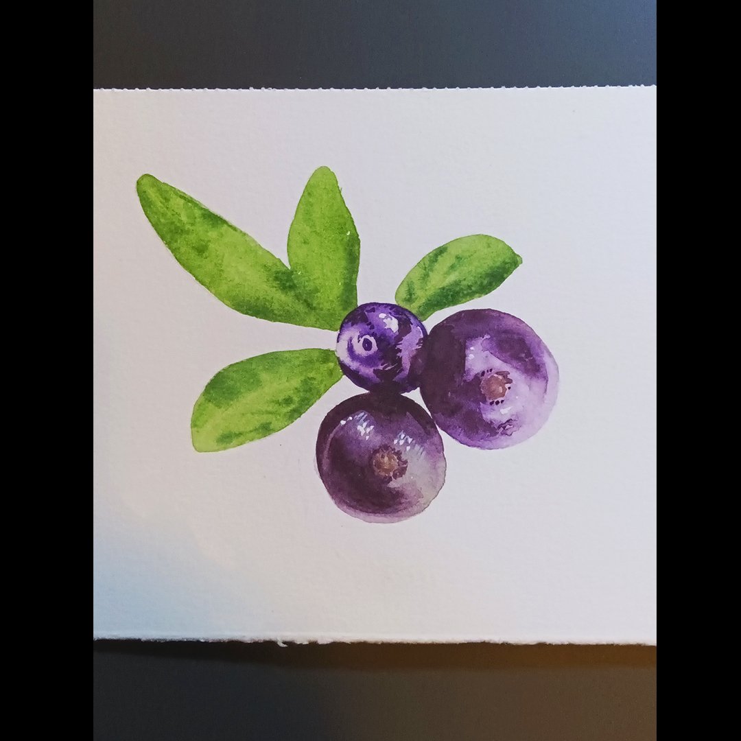digoquindere's tweet photo. Fiz uma jabuticaba em aquarela pra testar o Papel Canson Mix Media (baratinho) da linha escolar. 🙃😊
#digoquindere #watercolor #aquarela #canson #art #arte #pintura https://t.co/fB04OaWWUo
