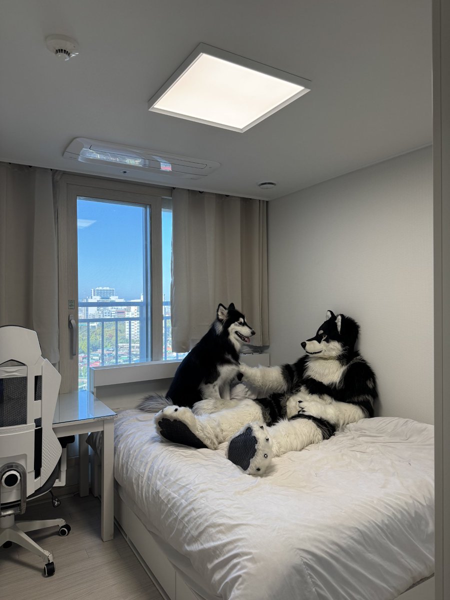 台灣的朋友們大家好！
在參加 Infurnity 之前，我打算先去日月潭旅行。
如果你願意的話，我很樂意和你一起度過這段旅程！

那我們就 Infurnity 見囉！