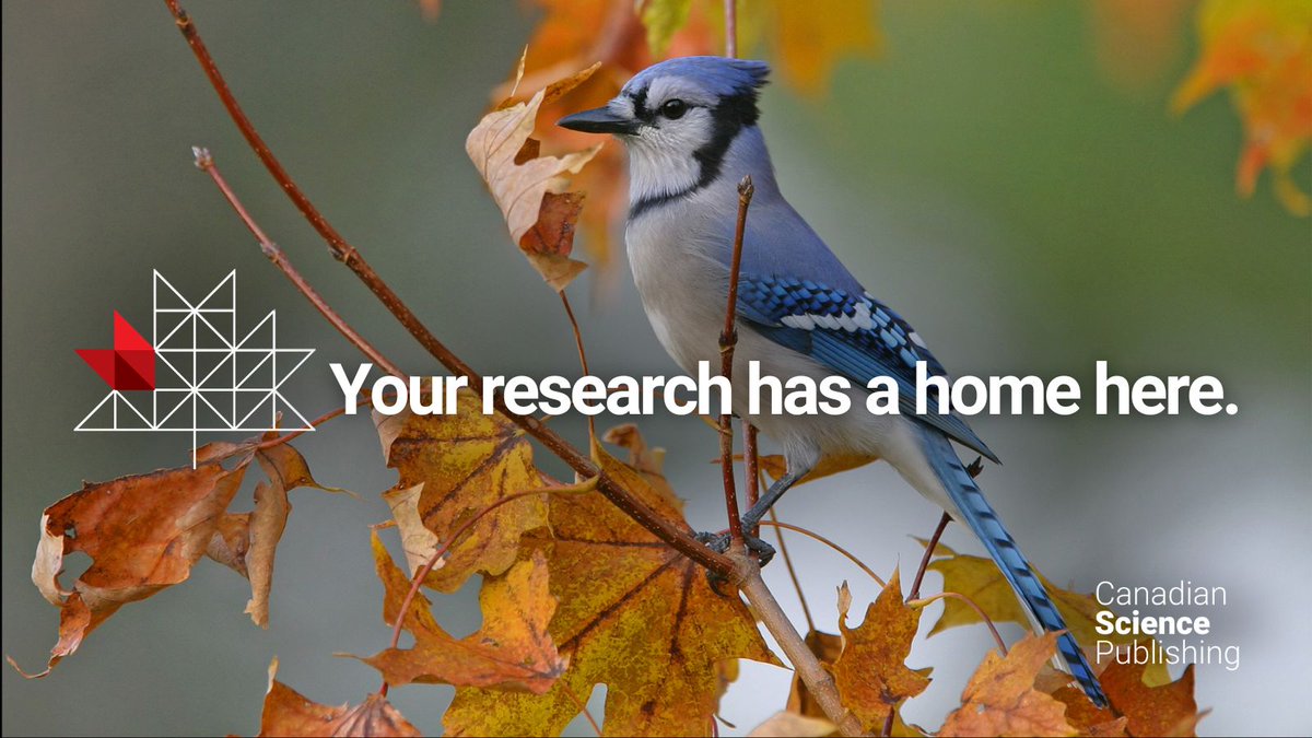 cdnsciencepub's tweet image. All this talk about the @BlueJays inspired us to take a fond look at our collection of bird research! Our archives are full of fascinating studies on feathered friends. 💙
Read the science:
▶️ ow.ly/3uO050Xj2Yj
▶️ ow.ly/qGaJ50Xj2Yi
#YourResearchHome #WorldSeries…