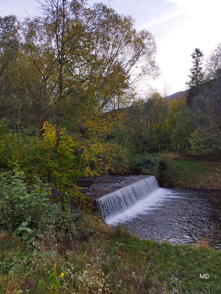 Martina Dvorská (@martinadvorsk2) on Twitter photo 