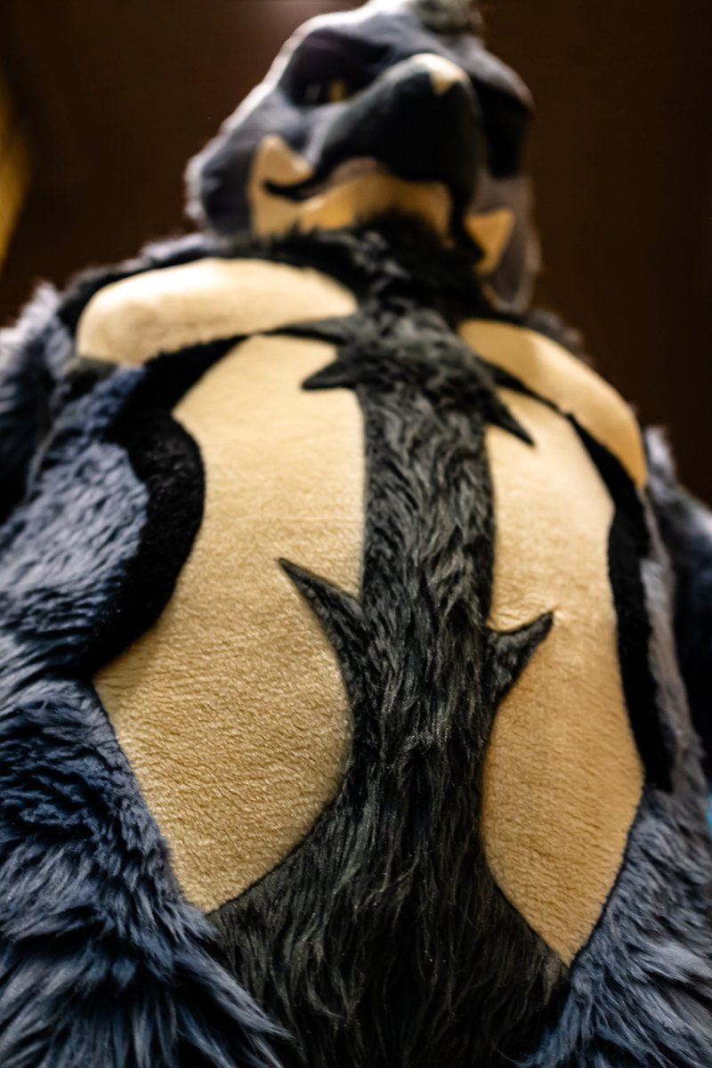 Gang_A_Zenith's tweet photo. Look Up

📸 #furrizu
#FursuitEveryday https://t.co/zSEthXTCtd