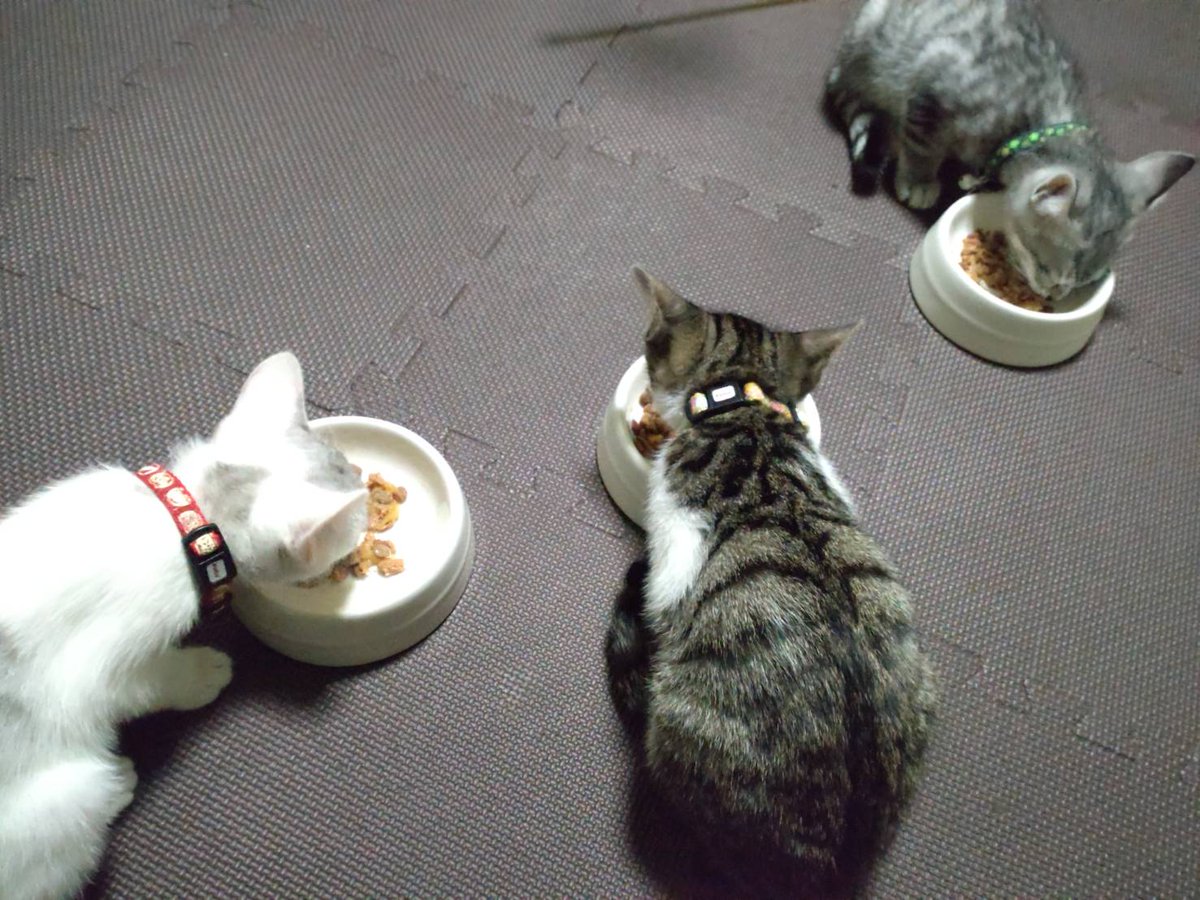 🖤hitomi🕸️🕷️🖤 on X