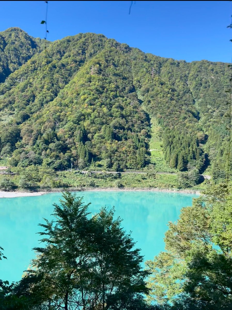 aui_u_u's tweet image. 自然派

#日常垢さんと繋がりたい #日常垢