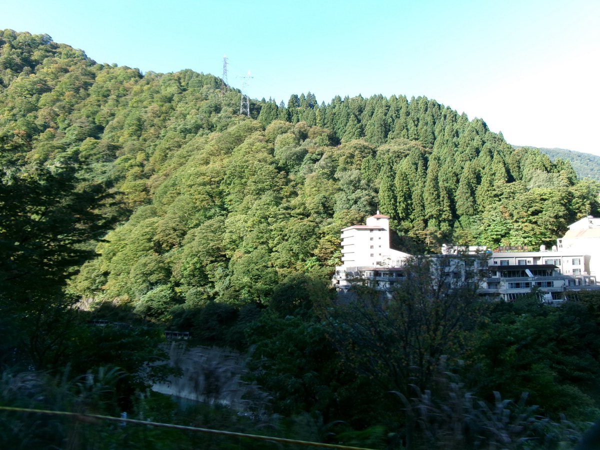 aui_u_u's tweet image. 自然派

#日常垢さんと繋がりたい #日常垢