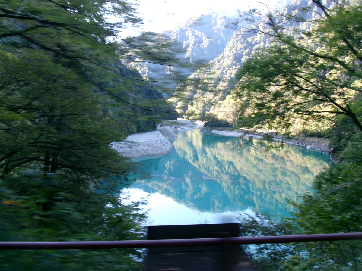 aui_u_u's tweet image. 自然派

#日常垢さんと繋がりたい #日常垢