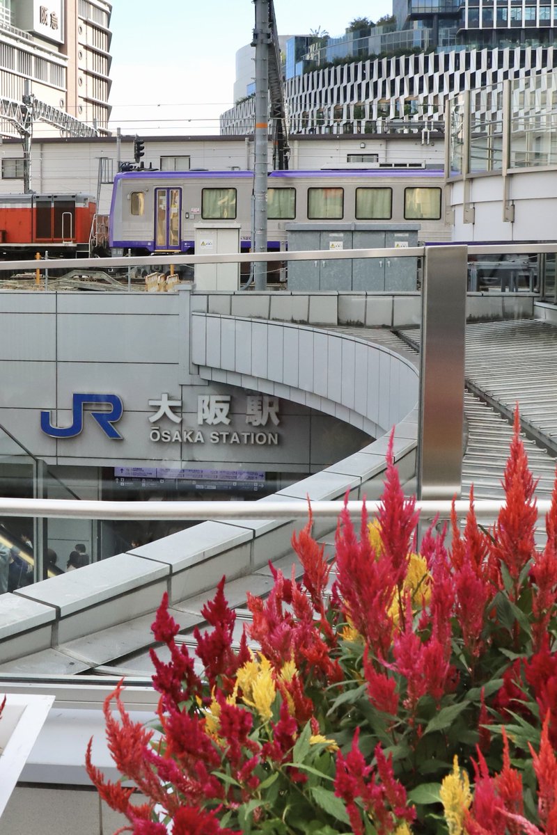 アブラハム渓谷 アバラハム渓谷［廃盤］ マノエル・ド・オリヴェイラ監督作品