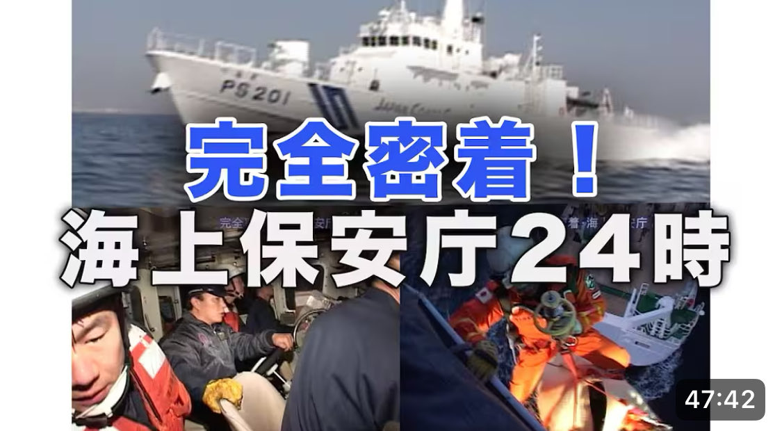 うみまる様 野生のうみまる on X