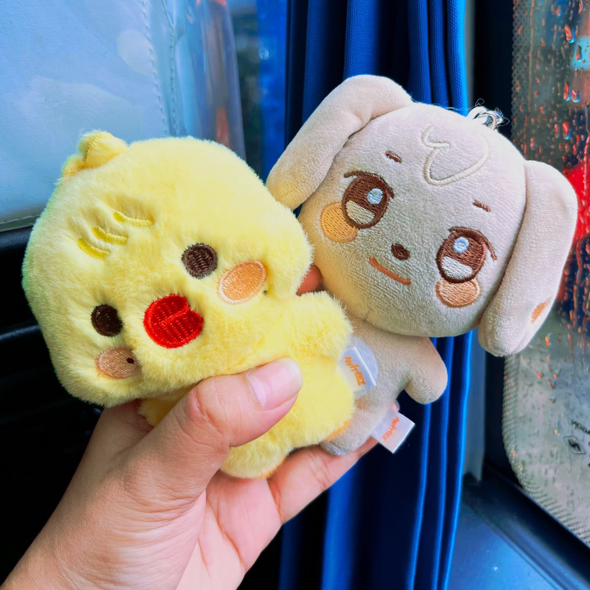 life as a yungi stan 🐤🐶