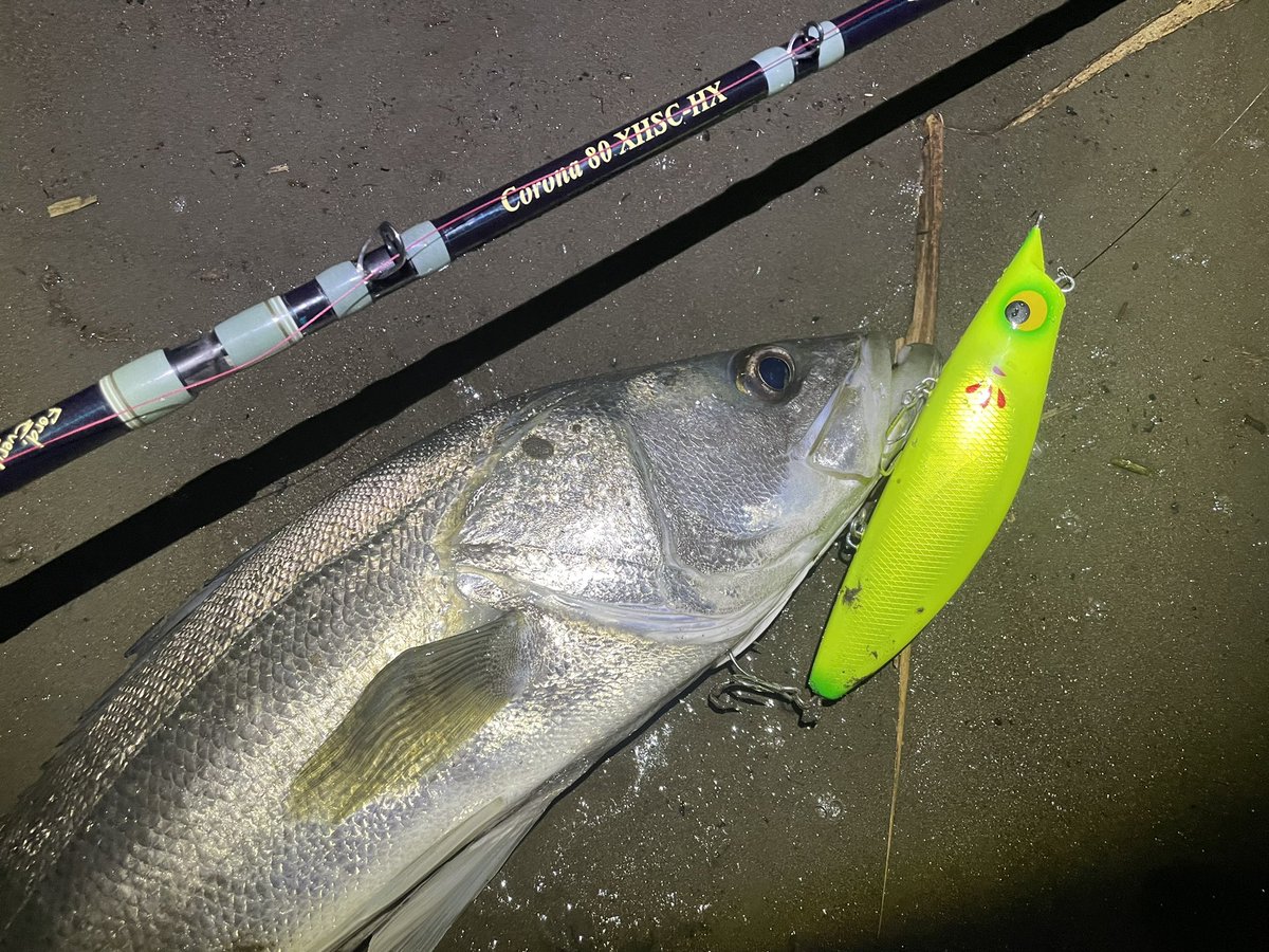 Ridgeline official (@ridgeline_tw) / Posts / X