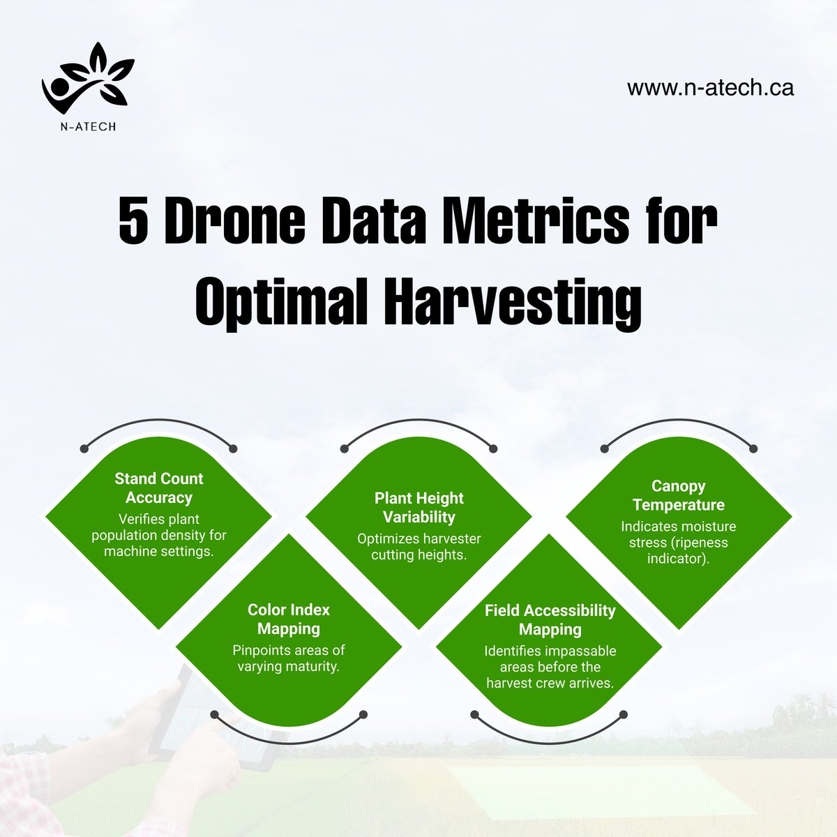 n_atech's tweet image. Harvesting is the final, most crucial step. N-atech&apos;s drone data provides the ultra-high resolution insight you need to ensure your machinery is perfectly tuned for maximum efficiency and yield recovery.
#DroneFarming #NatechHarvest #HarvestOptimization #PrecisionHarvest #AgriUAV