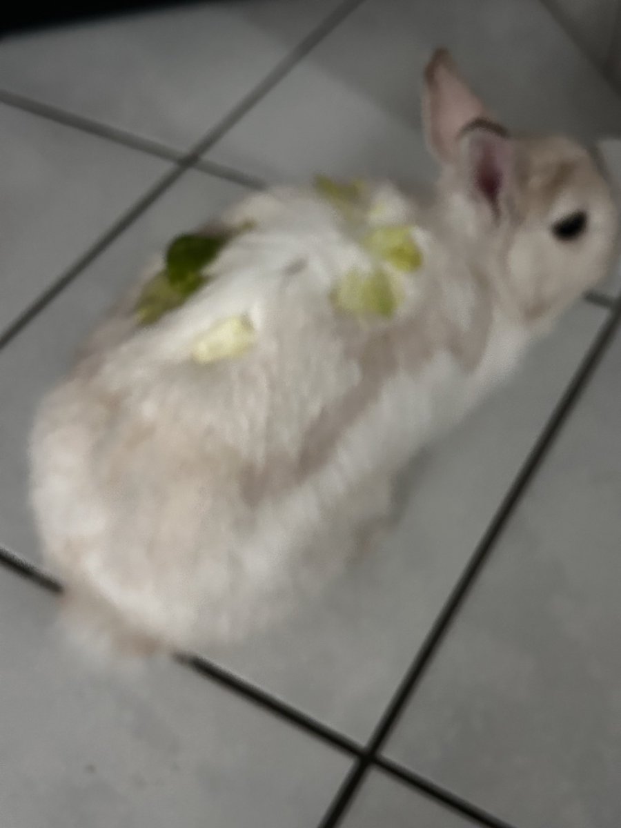 ronzns's tweet image. 