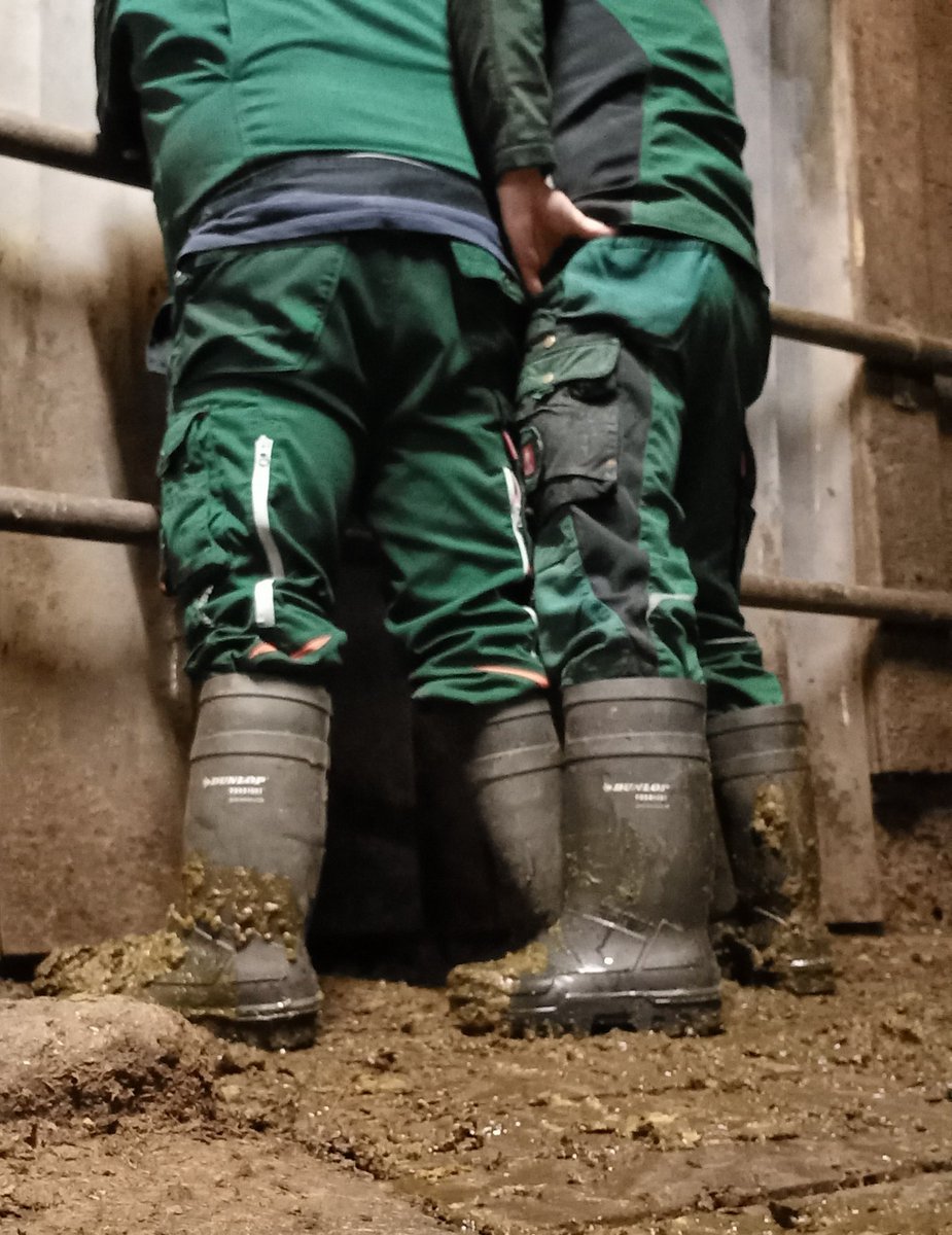 PuroHaix (@haixpuro) on Twitter photo 