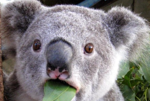 "Hey wanna play some redse...redsack....redsec..."

#BF6  #Battlefield6  #redsec