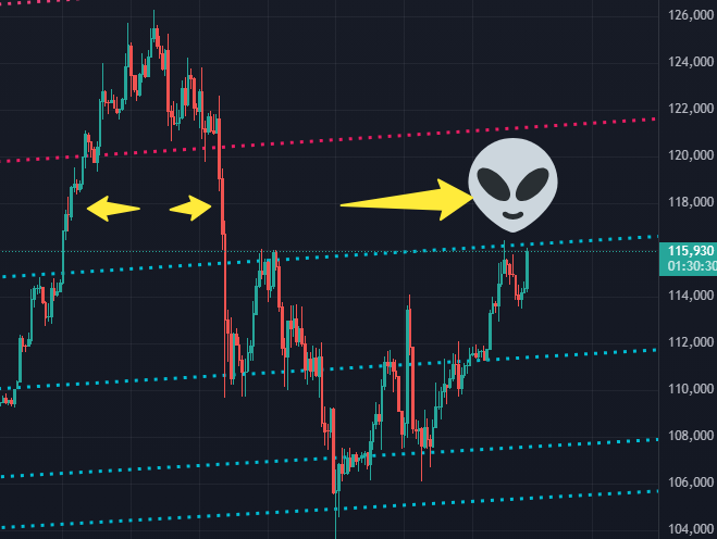 CryptoFace tweet media