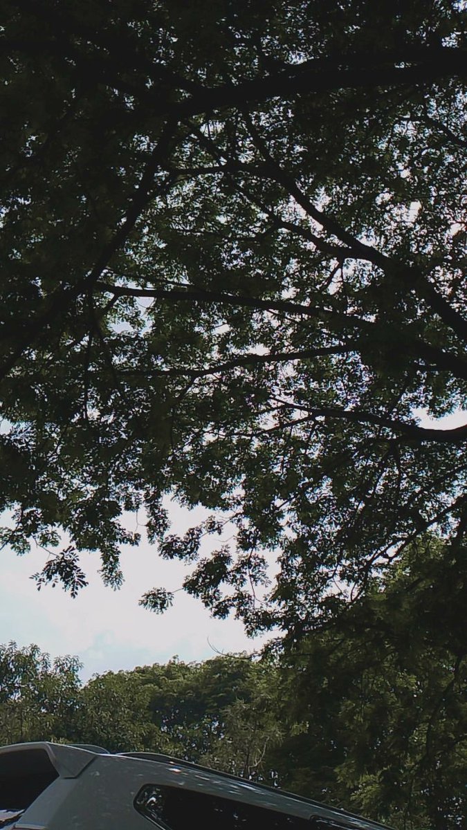 AzadulZ's tweet image. 🍃
#gaybekasi