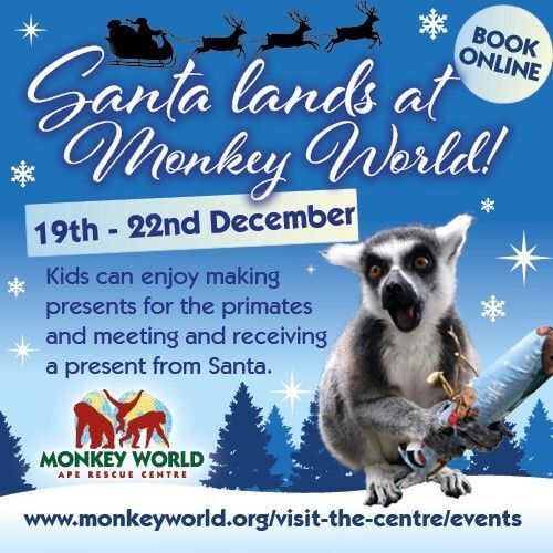 We have just a handful of slots left for Santa's Grotto at Monkey World this year. If you're planning on booking, please do so soon or you'll miss out!
All details are here: monkeyworld.org/events/santa-i…