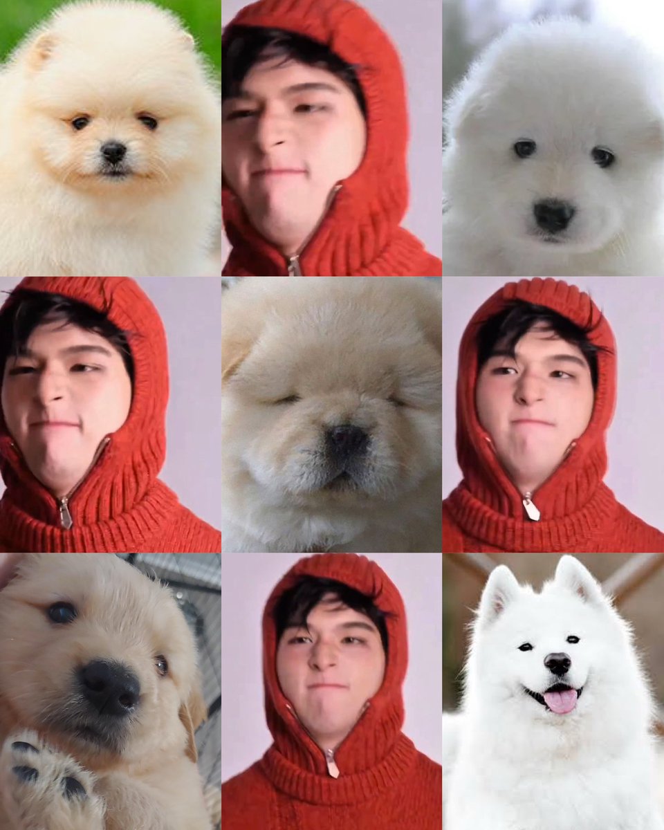 Mikey😉😢🥑 #waitin4WU (@kyuniesboymikey) on Twitter photo must protect at all costs🥺😭🥹🐶🤏🏼
#skywongravee <a href="/skywongraveee/">Wongravee Nateetorn</a> must protect at all costs🥺😭🥹🐶🤏🏼
#skywongravee <a href="/skywongraveee/">Wongravee Nateetorn</a>
