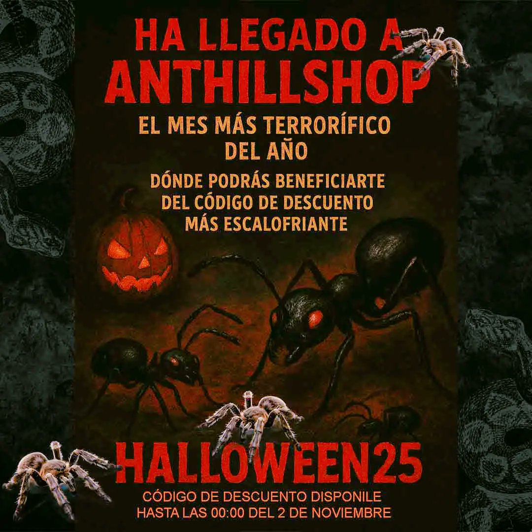 anthillshop's tweet photo. 🕷️ ¡Las hormigas también celebran Halloween! 👻
En https://t.co/CiHzbN5YZg los sustos se transforman en descuentos terroríficos:
💀 -25% en toda la web con el código HALLOWEEN25
👉 Entra ya en https://t.co/CiHzbN5YZg y deja que las hormigas conquisten la noche. #halloween https://t.co/AjLsi4Glc1