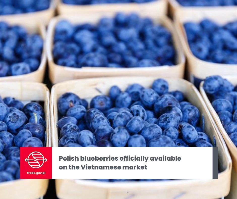 🌏The Ministry of #Agriculture and #Rural #Development announced that on September 16th, 2025, the #Vietnamese #Phytosanitary Service officially approved the import of fresh #blueberries from Poland. This is the result of many years of negotiations conducted since 2017 and, at