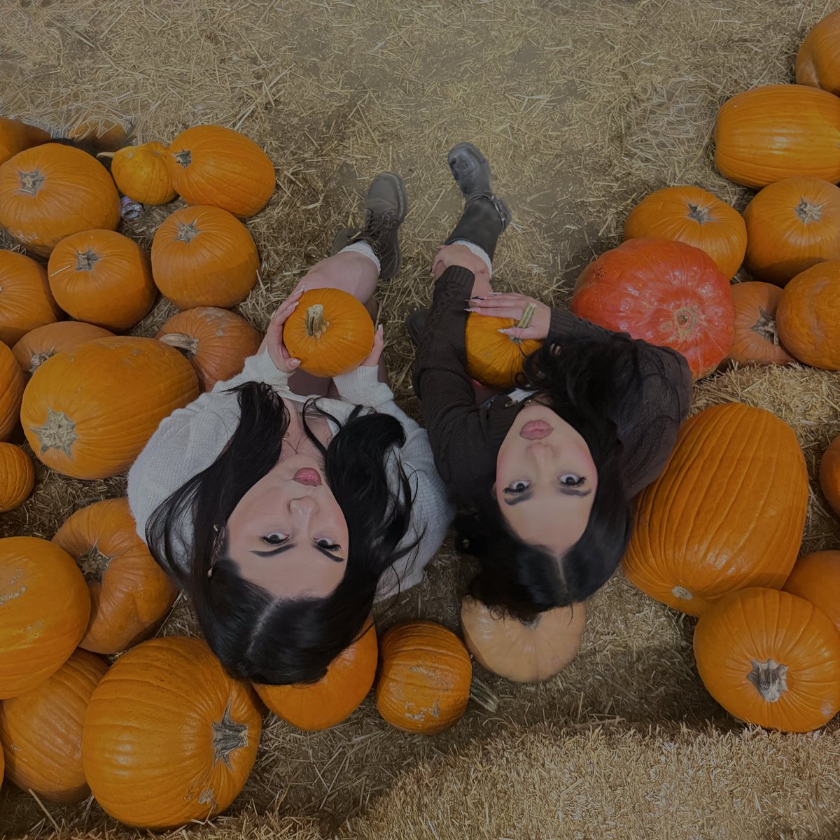 aaaryannaaaa's tweet photo. PUMPKINNN 🍂🎃✨🤍 https://t.co/lBWY6S2cpR