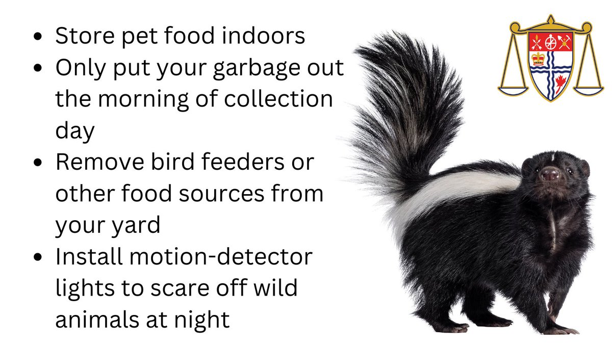 Wild animals large and small are very active in the fall!

It’s normal for there to be an increase in sightings of wild animals this time of year as they forage for food in preparation for winter.

Make your property uninviting for wild animals:
ottawa.ca/en/living-otta… #OttCity