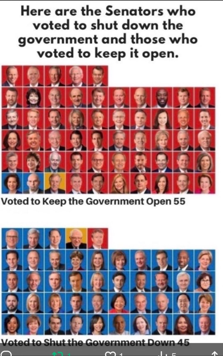 🇺🇸❤️🤍💙TinaG❤️🤍💙🇺🇸 tweet media