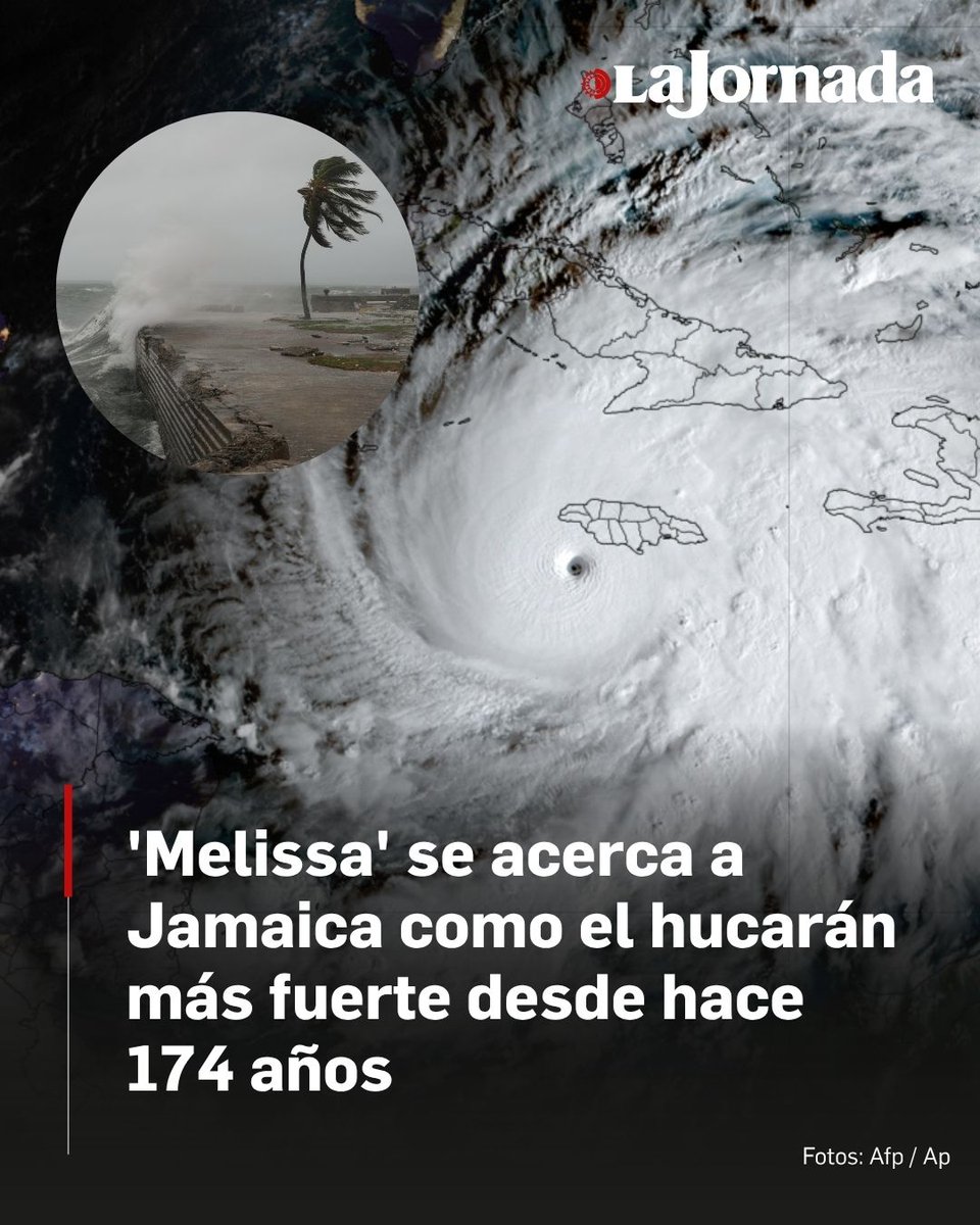 La Jornada tweet media