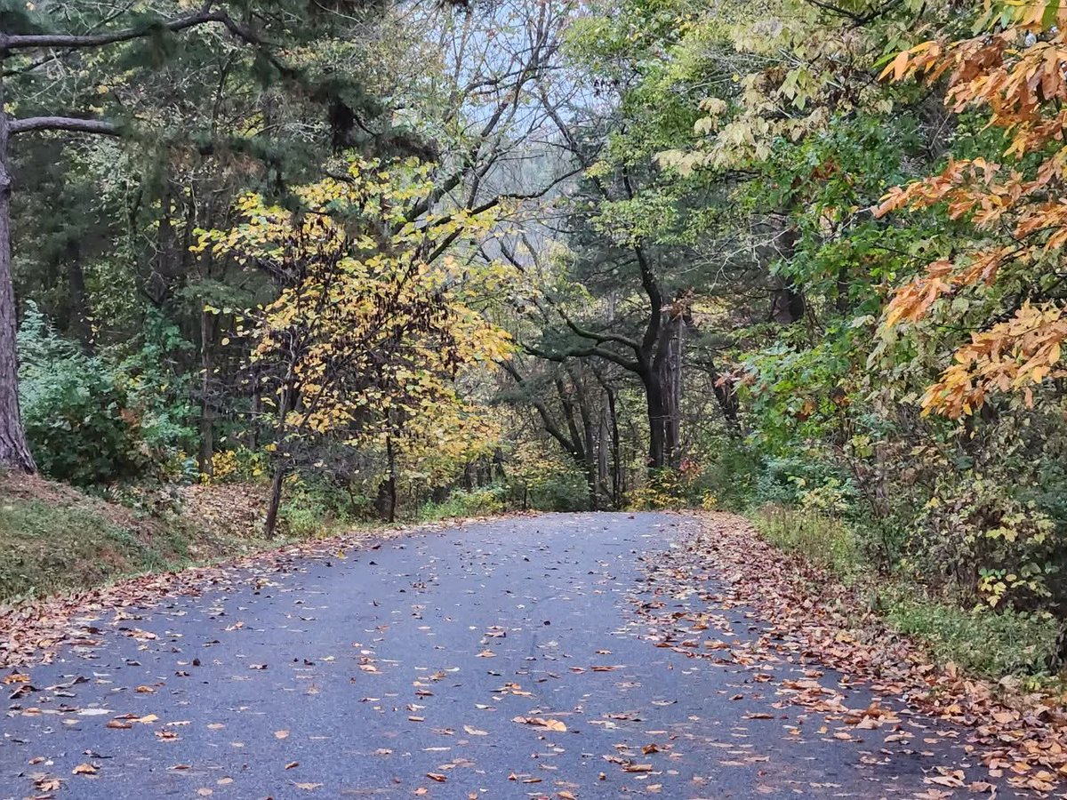 mag 🎶 (@magtwigz) on Twitter photo 