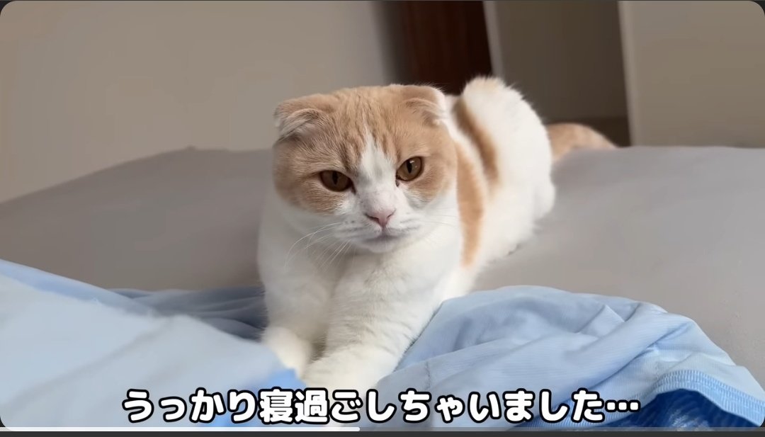 もちまる日記 - Search / X