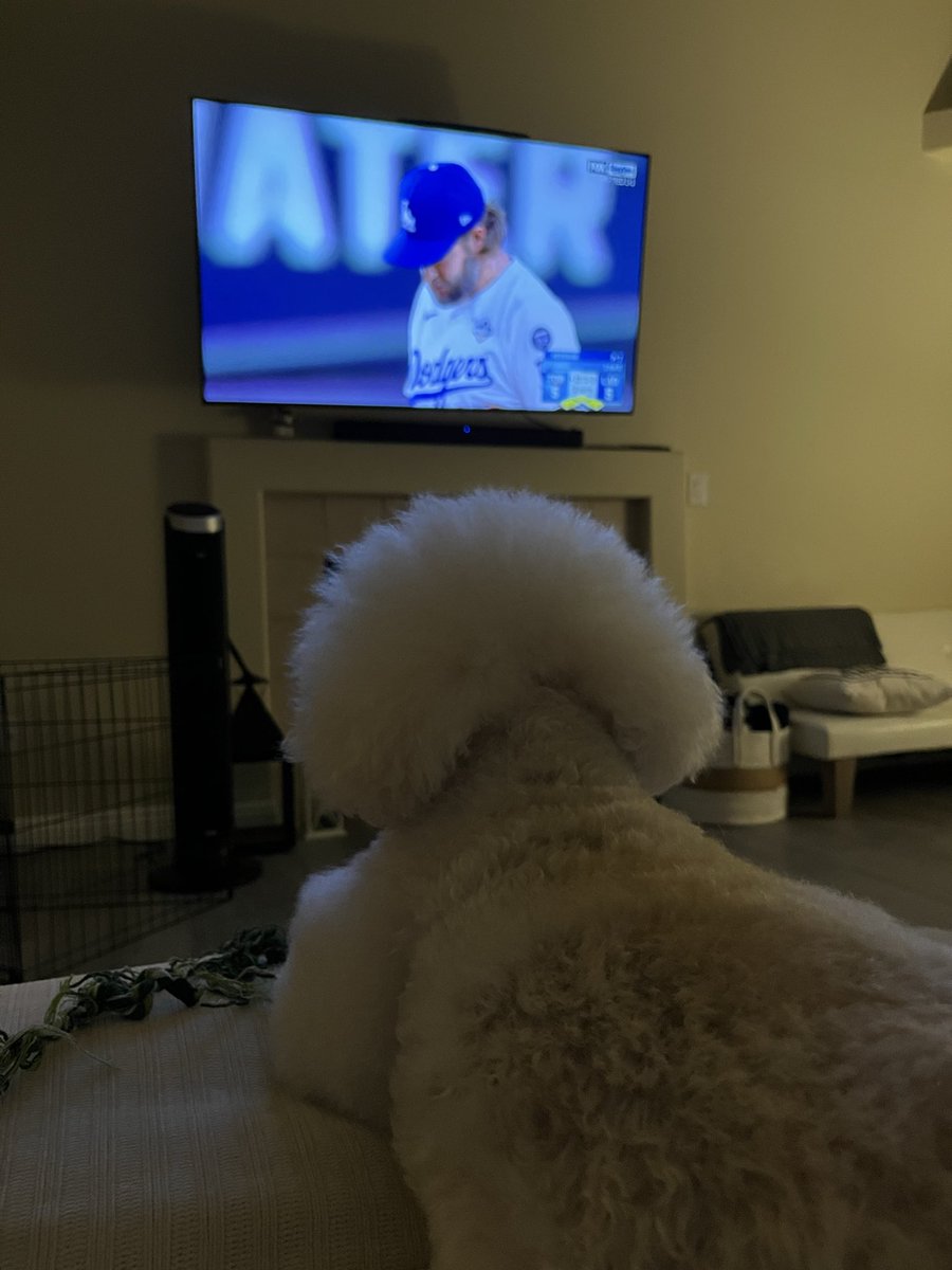 InkedCelebrity's tweet photo. #dodgers with the big marathon win last night/this morning! #dogdad #WorldSeries #OMG #blessed #love #familia #excusenote #ladodgers #WeLoveLA #LetsGoDodgers #GOAT #dedication #veteran #Rams #Kings #LAKings #vegasstrong #dog #pup #Latin #ClaytonKershaw #Kershaw #MLB #baseball ⚾️ https://t.co/7O0xxNGq3C
