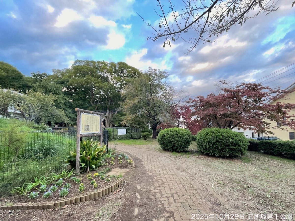 トコシエコウの花畑 トコシエコウの花畑 空と坂道 on X