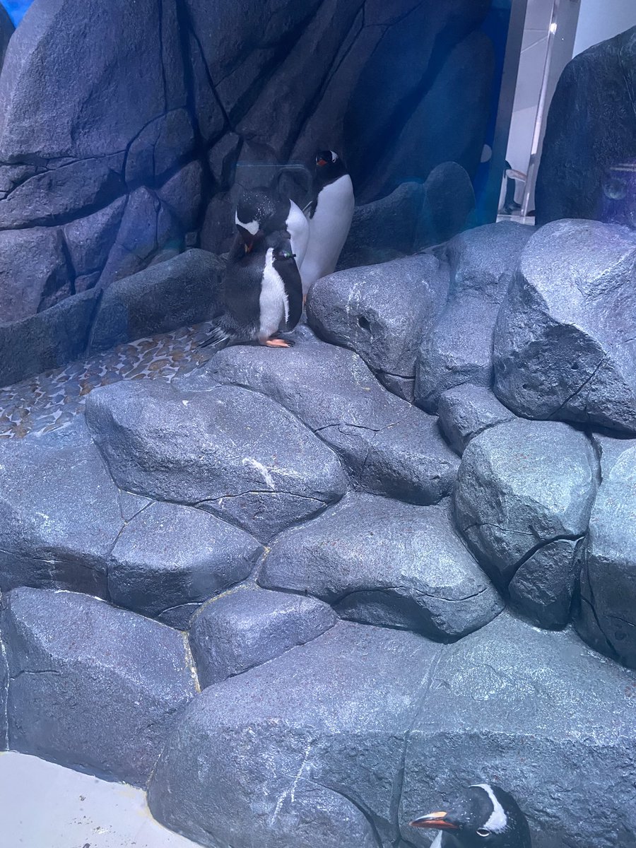 ไข่ตุ้ม tweet media