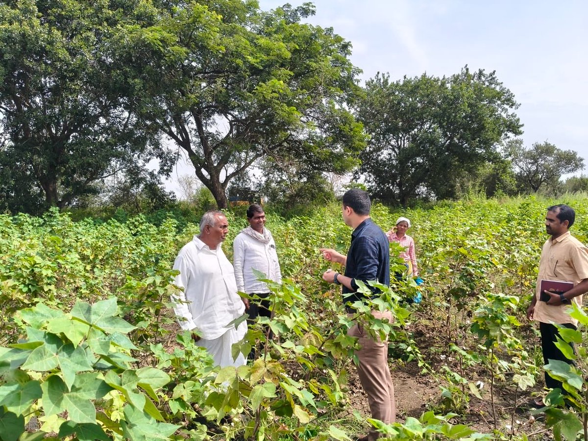 SDMBhainsa's tweet photo. భైంసా Sub Collector గారు భైంసా మండలంలోని పత్తి రైతులతో సమావేశమై, వారు ఎదుర్కొంటున్న సమస్యలను తెలుసుకున్నారు. ఈ సందర్భంగా సగటు దిగుబడి, తేమ శాతం, రుతుపవనాల ప్రభావం, కార్మిక వ్యయాలు మరియు కనీస మద్దతు ధర (MSP) వంటి అంశాలపై చర్చించారు @Collector_NML @ACLBnirmal https://t.co/TISE1MXN18