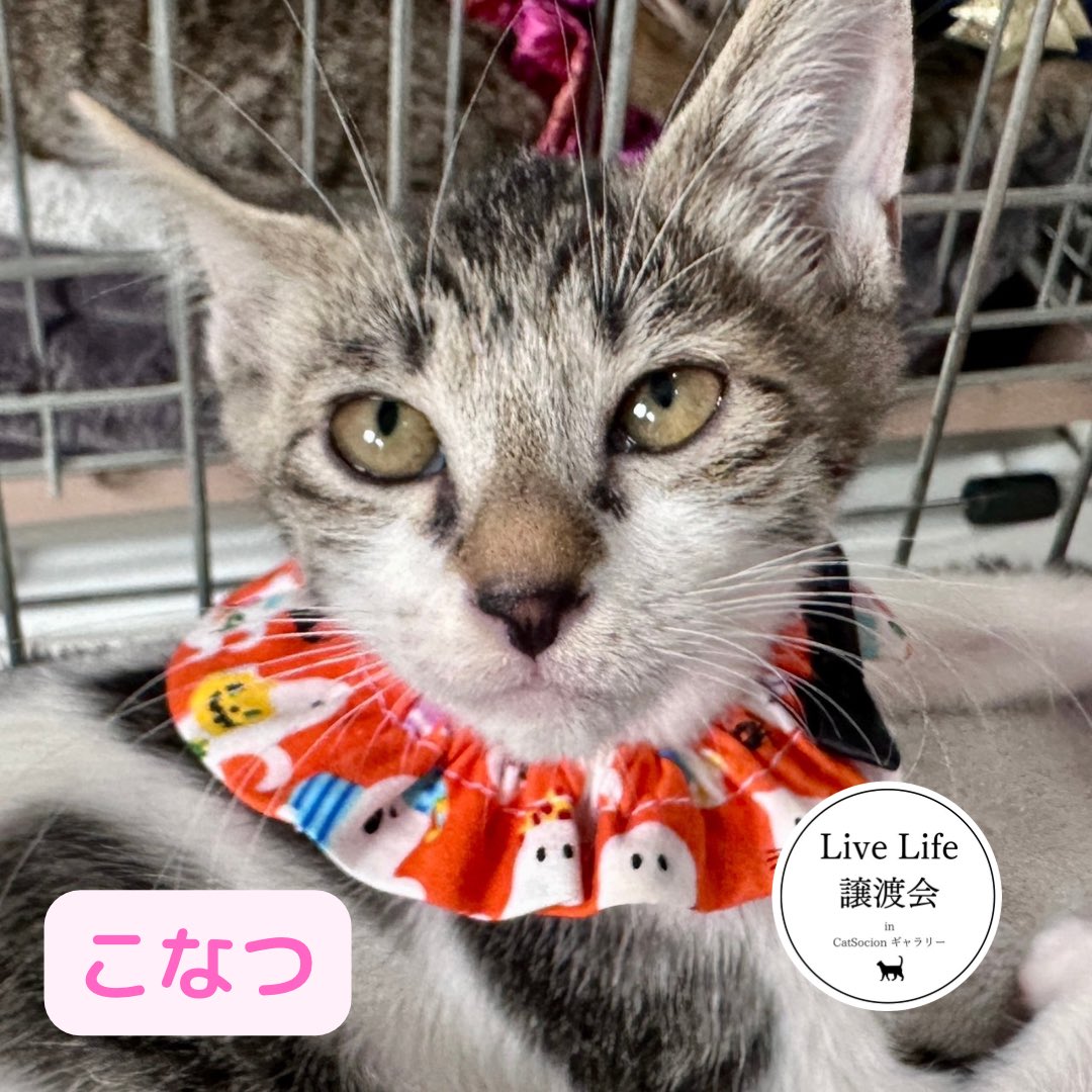 チョコちび太💖(旧IDB三上) (@97tQRw1CVtuLY1f) / Posts / X