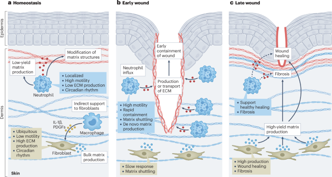 Waggoner Lab tweet media