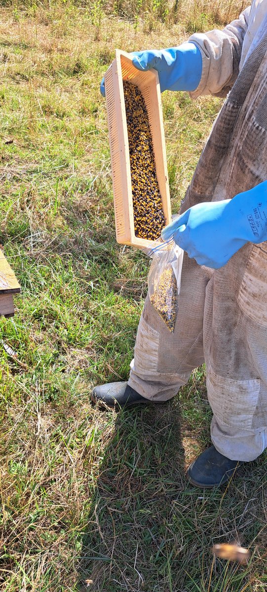 Eric Ducornet tweet media