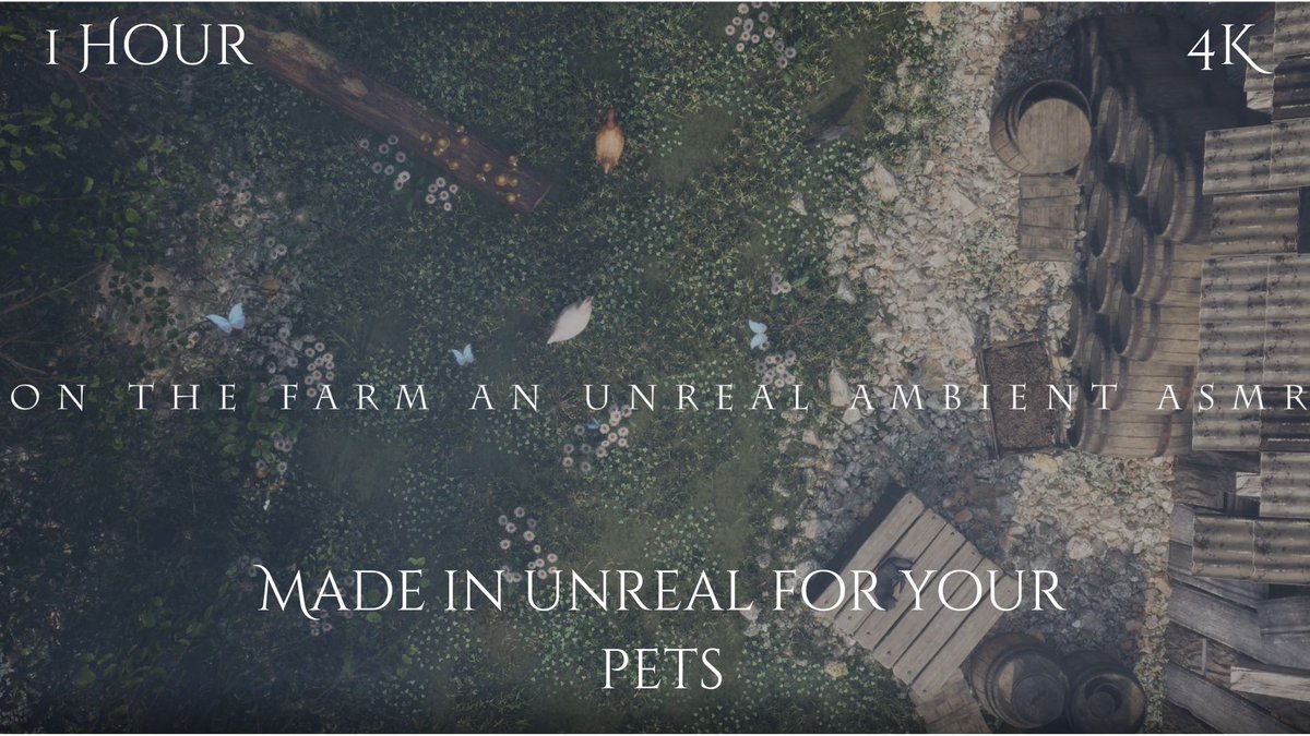 ArtStrongArts's tweet image. ArtStrong
@ArtStrongArts
·
16h
Hey all and welcome to my my first Pet-friendly ASMR designed to soothe, comfort, and entertain youtube.com/@ArtStrongArts #petfriendly #petsTV #tvforpets #tvpets #tvforcats #tvfordog #indiedev #indiegame #indiegaming #UnrealEngine