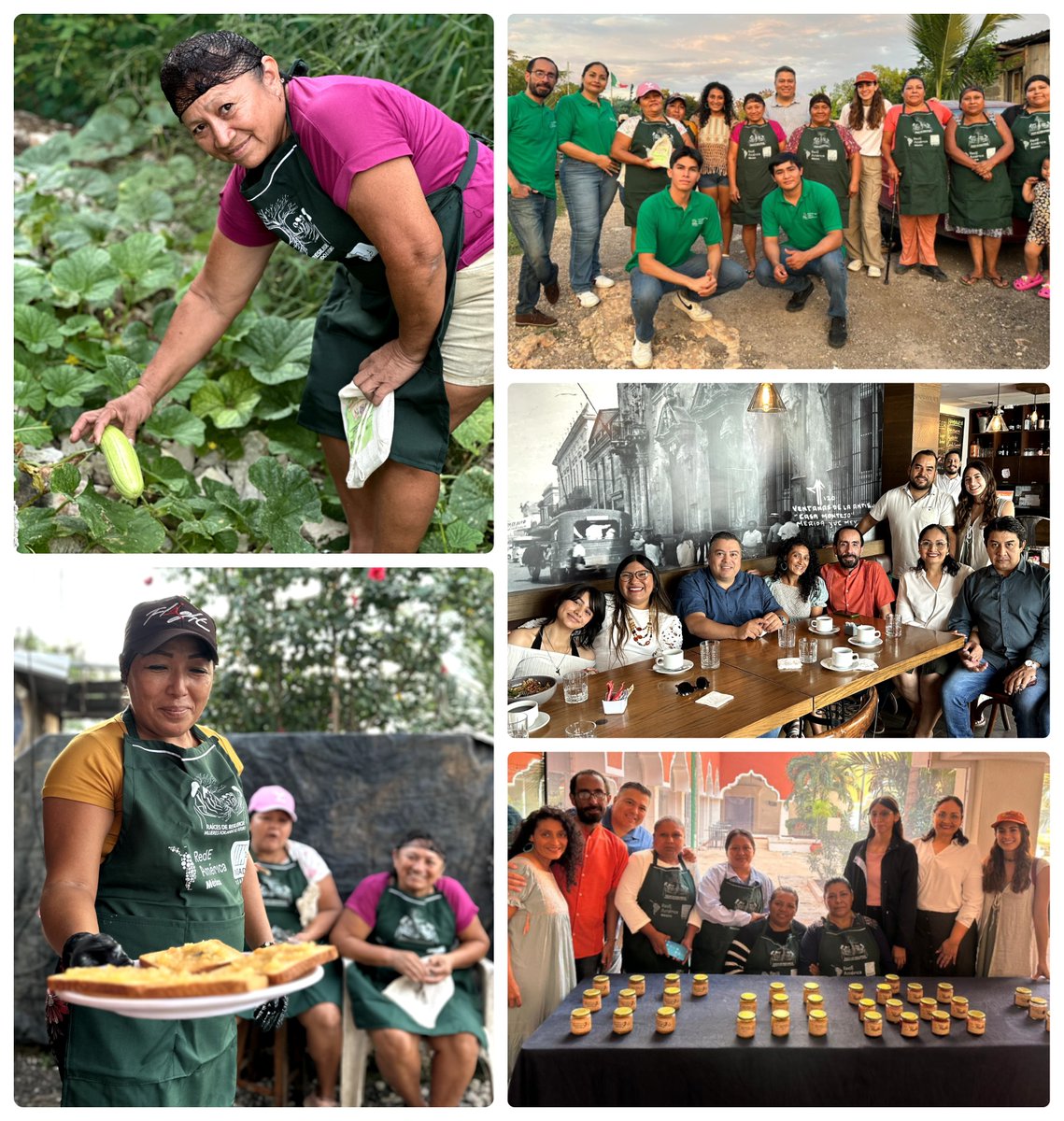 📰 #Entérate
<a href="/MOBILITYADO/">MOBILITY ADO</a> y #Cemefi visitamos en Mérida el proyecto “Salsas y mermeladas yucatecas con preparación artesanal”, impulsado por <a href="/insade_ac/">INSADE AC</a> como parte del fondo colaborativo del Nodo México de <a href="/RedEAmerica/">RedEAmérica</a>. 🌶️🍓
🤝 Conoce esta iniciativa 👉 cemefi.org/el-nodo-mexico…