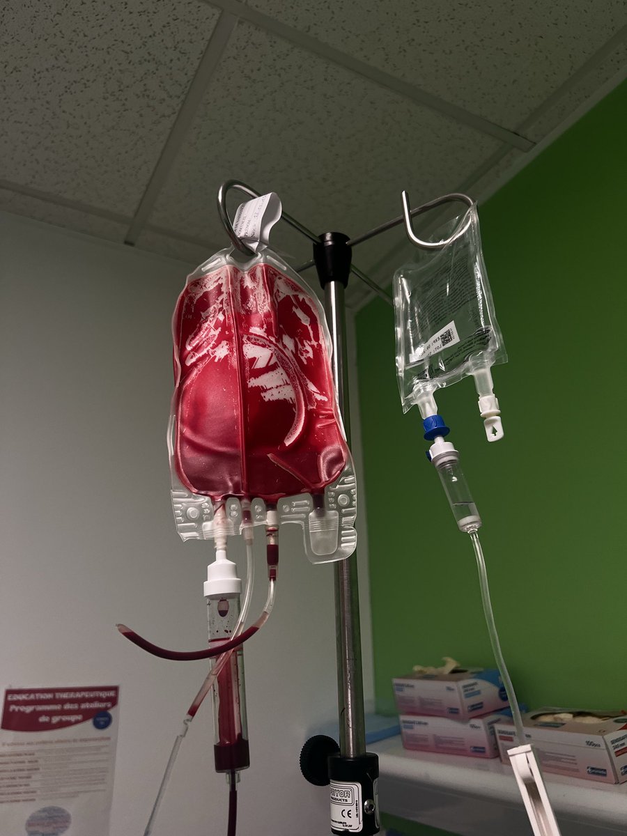 Elodie 🪽ThatsShowbizBaby tweet media