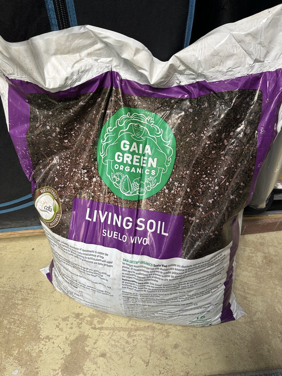 Highly Ganjanous tweet media