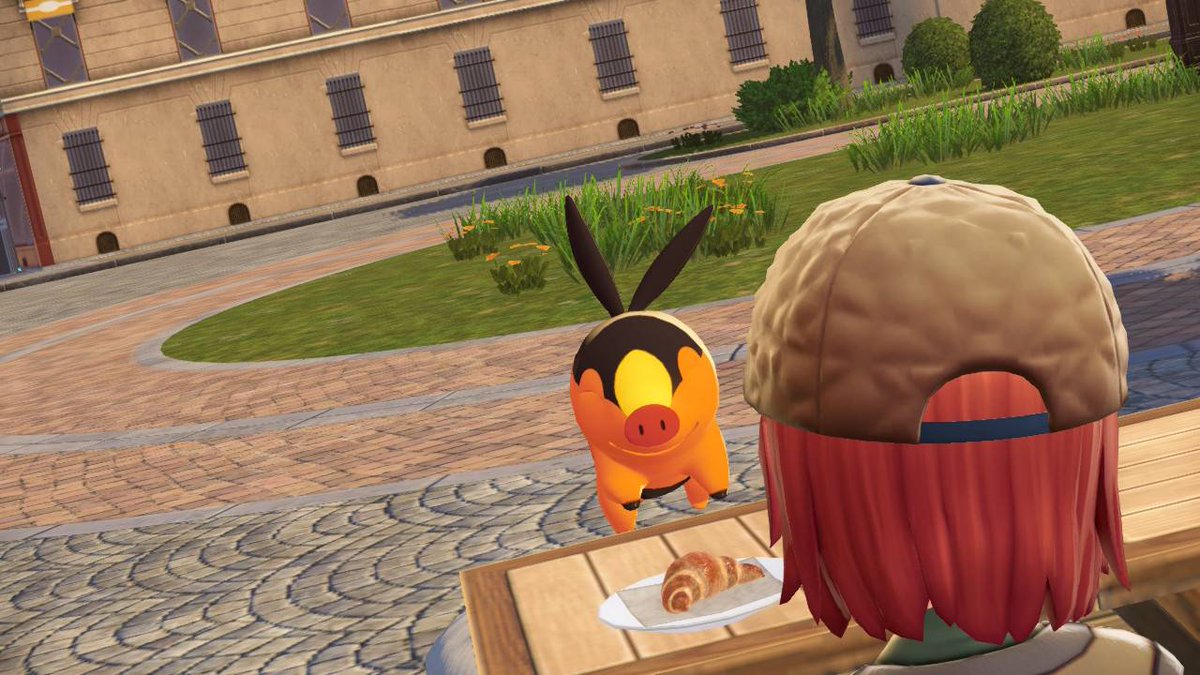 ゆうなつ🎑 @ポカブ大好きっ子 tweet media